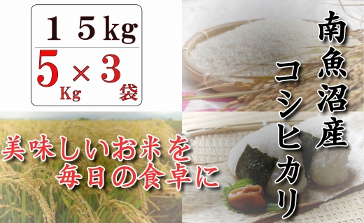 【契約栽培】南魚沼産コシヒカリ「八龍の尾」15kg(5kg×3)