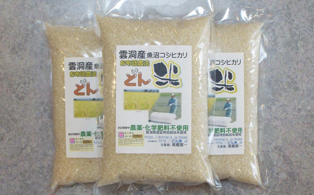 新米 玄米コシヒカリ 1.5kg 一升 令和5年 お米 白米 精米 茨城県産