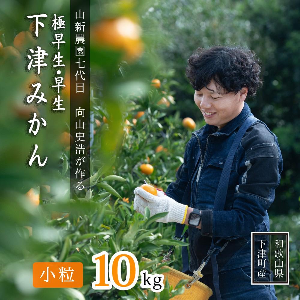 極早生 or 早生みかん 10kg 小粒SS・Sサイズおまかせ《秀品》 和歌山県産 山新農園 農園直送 まごころ産直みかん［北海道・沖縄県・一部離島 配送不可］ SSサイズ 2S 小玉 蜜柑 果物