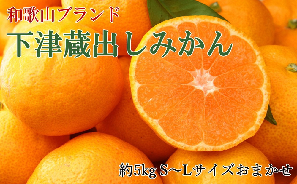 ［産直］下津蔵出しみかん約5kg（S～Lサイズおまかせ）★2026年1月中旬頃より順次出荷