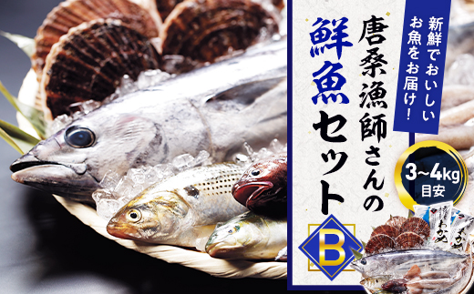 地元漁師さんと一緒に新鮮でおいしいお魚をお届けします！【唐桑漁師さんの鮮魚セットB】