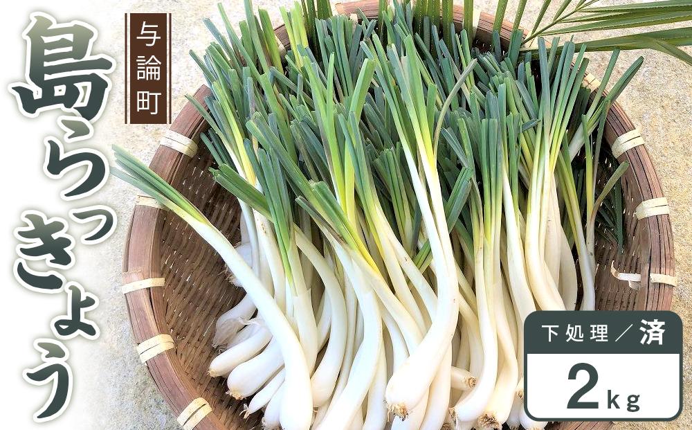 【先行予約】島らっきょう☆2kg(皮処理済)与論の味をご家庭で(令和7年4月から順次発送)