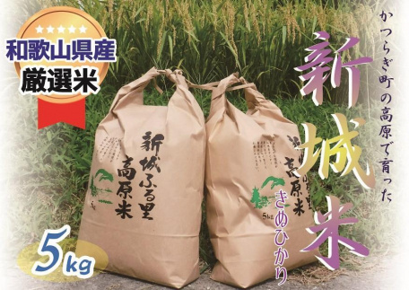 ☆9月下旬より発送☆【特選】新城米(きぬひかり５kg)＜2024年収穫＞