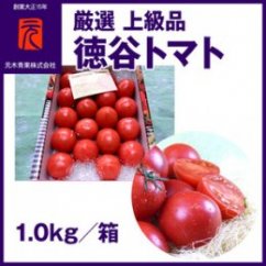 濃厚！徳谷トマト約1.0kg 箱詰 | 生産者指定なし 厳選上級品 元木青果