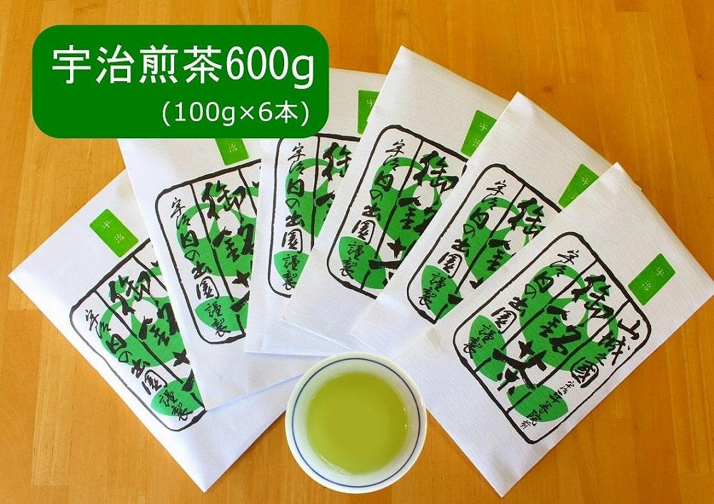 本年度(2023年度)産一番茶 宇治煎茶600g（100g×6）