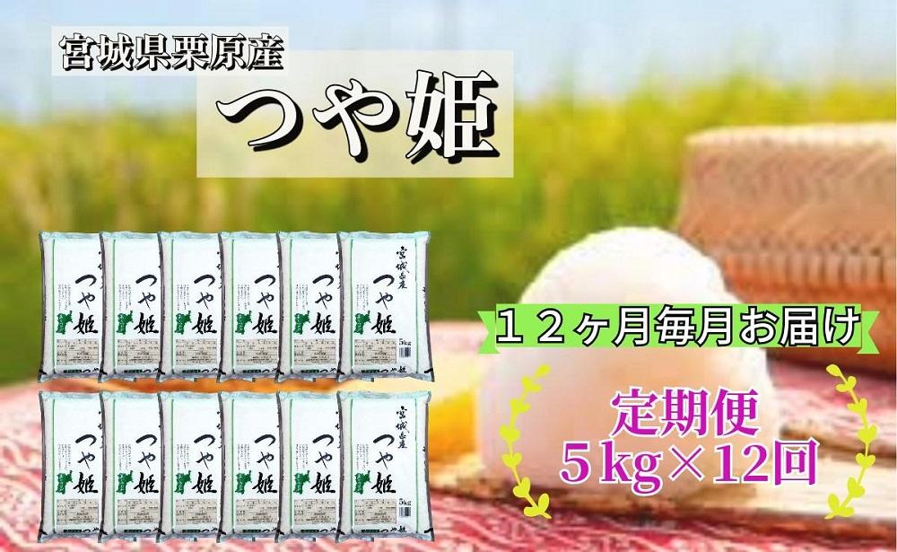 【12ヶ月定期便】宮城県栗原産 つや姫 毎月5kg (5kg×1袋)×12ヶ月