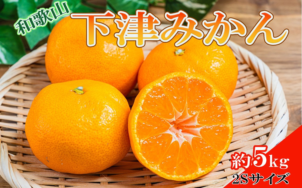 【産直・秀品】和歌山下津みかん約5kg（2Sサイズ）★2025年11月中旬頃より順次発送［TM72］