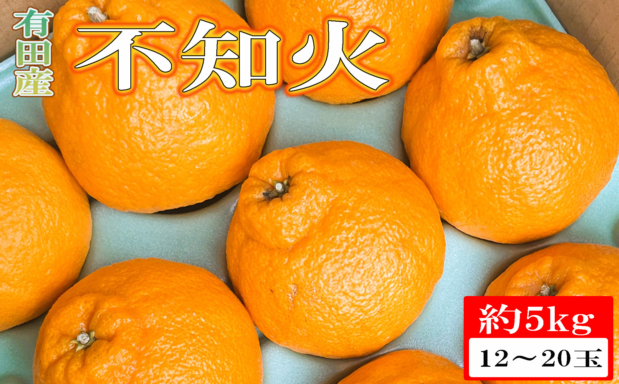 ［濃厚］有田の不知火約5kg（12～20玉）★2027年2月下旬頃より順次発送［TM33w］