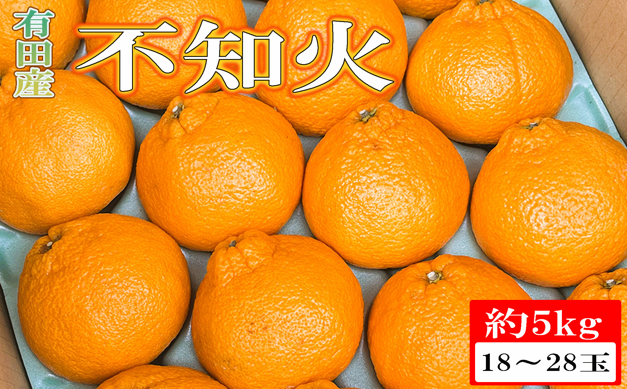 ［濃厚］有田の不知火約5kg（18～28玉）★2027年2月下旬頃より順次発送［TM35w］