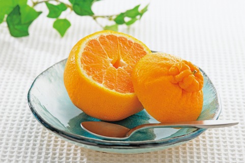 ◆先行予約◆太陽の恵みたっぷりの春柑橘 デコ娘(不知火) 約3kg(赤秀)【2023年3月上旬以降出荷】