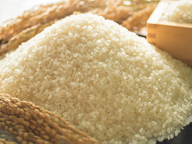 定期便　福岡県大川市産ヒノヒカリ（2023年秋収穫のお米）10キロ×12回 定期コース（全12回のお届け）