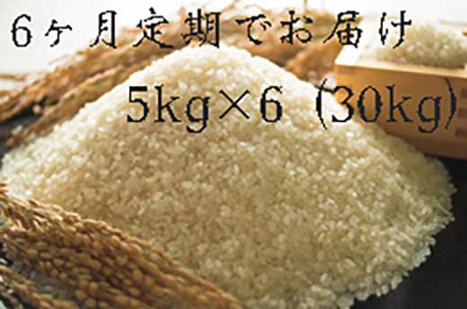 定期便 福岡県大川市産ヒノヒカリ（2023年秋収穫のお米）5キロ×6回 定期コース（全6回のお届け）