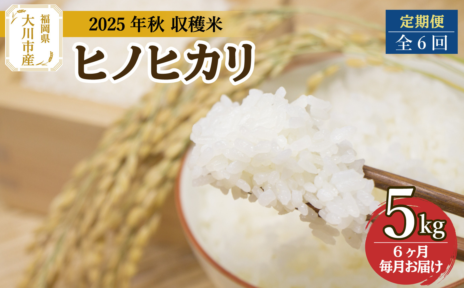 定期便&nbsp;福岡県大川市産ヒノヒカリ（2025年秋収穫のお米）5kg×6回&nbsp;定期コース（全6回のお届け）&nbsp;|&nbsp;米&nbsp;お米&nbsp;こめ&nbsp;白米&nbsp;精米&nbsp;30kg&nbsp;30キロ&nbsp;食品&nbsp;ライス&nbsp;令和7年&nbsp;美味しい&nbsp;おいしい&nbsp;ご飯&nbsp;ごはん&nbsp;人気&nbsp;おすすめ&nbsp;送料無料&nbsp;ふるさと納税&nbsp;定期配送
