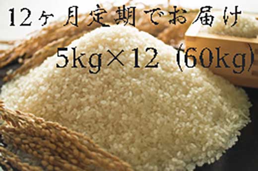 定期便　福岡県大川市産ヒノヒカリ（2023年秋収穫のお米）5キロ×12回 定期コース（全12回のお届け）