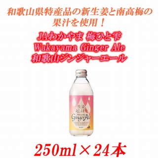 JAわかやま 生姜丸しぼり Wakayama Ginger Ale　和歌山ジンジャーエール 250ml×24本