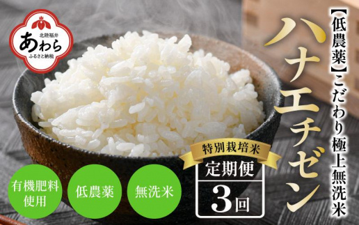 【令和5年産】《定期便》5kg×3回 15kg 特別栽培米 ハナエチゼン 無洗米 低農薬 《こだわり極上無洗米》 / 福井県 あわら 北陸 米 お米 人気