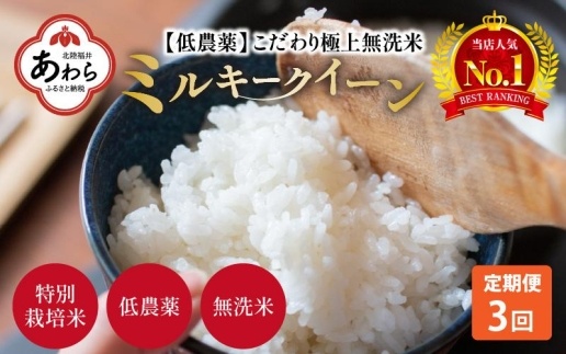 【令和6年産 新米】《定期便》5kg×3回 15kg 特別栽培米 ミルキークイーン 無洗米 低農薬 《食味値85点以上！こだわり無洗米》 / 福井県 あわら市 北陸 米 お米 人気 白米 精米