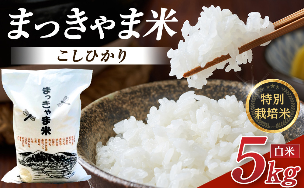 米 令和7年産 【 特別栽培米 】 石川県産 こしひかり 棚田米 白米 5kg　金沢市 お米 こめ 白米 食品 米 コシヒカリ ふるさと納税 米通販 高級米 国産米 ブランド米 日本米 新米 精米 産地直送 米ギフト 米料理 用途別米 米食文化 米農家 特別栽培米 米品種 米品質 米栽培技術 食感良好米