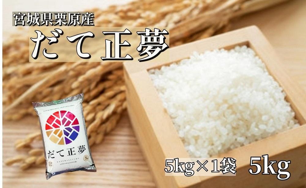 5年 宮城県産 ササニシキ 1等米 白米 24kg お米 希少米 - 米・雑穀・粉類