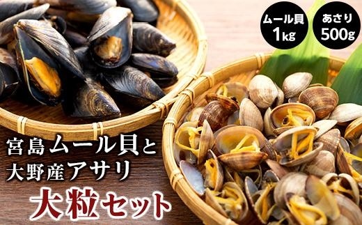 宮島ムール貝と大野産アサリ大粒セット