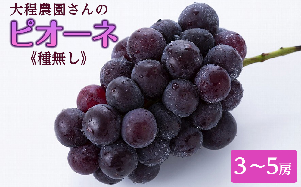 大程農園のピオーネ（種無し）【約2kg　3～5房入り】