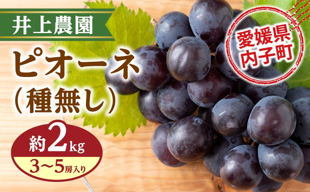 井上農園のピオーネ（種無し）【約2kg　3～5房入り】