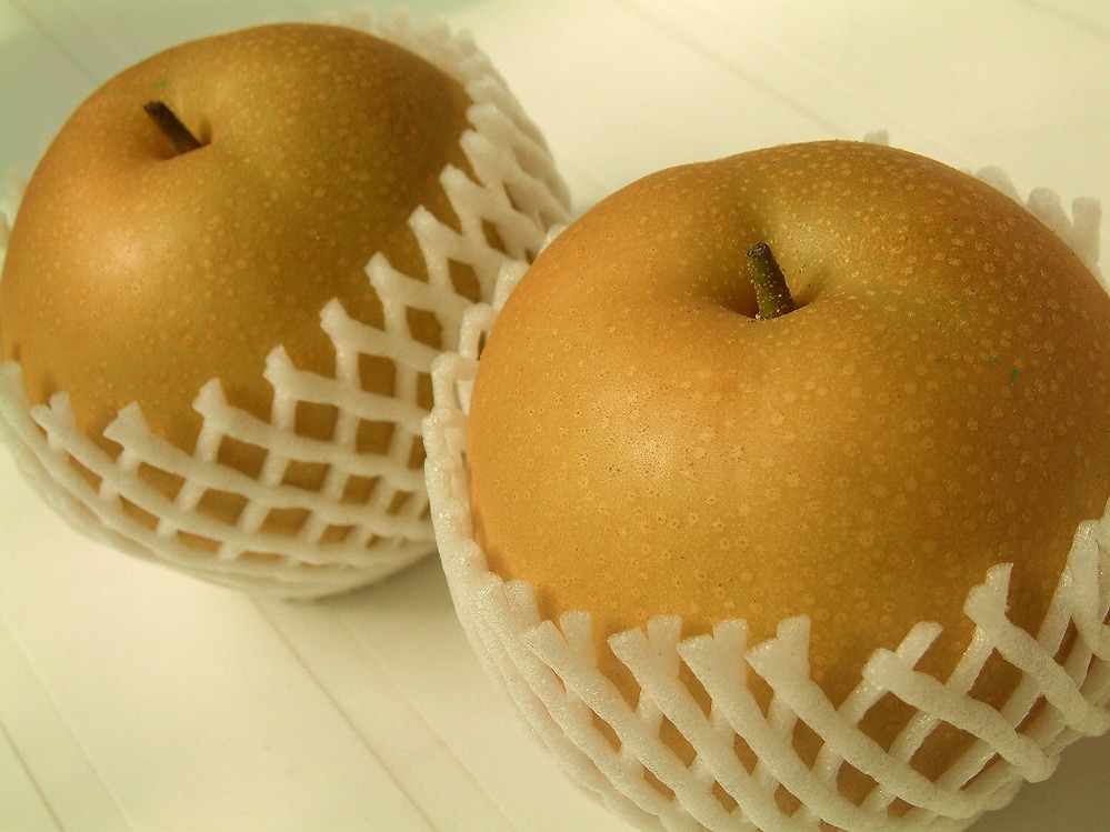 稲田ペアファームの豊華梨（ゆたかなし）（2）【6～9玉入り】【フルーツ 果物 くだもの 食品 人気 おすすめ 送料無料】