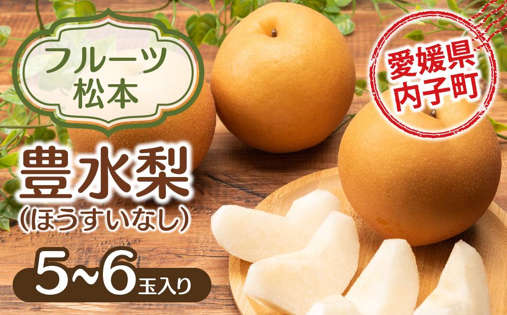 フルーツ松本の豊水梨(ほうすいなし)（1）【5～6玉入り】【フルーツ 果物 くだもの 食品 人気 おすすめ 送料無料】