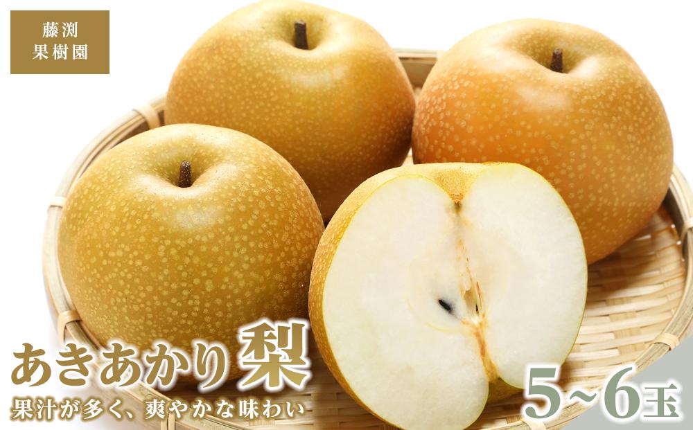 藤渕果樹園のあきあかり梨（1）【5～6玉入り】【フルーツ 果物 くだもの 食品 人気 おすすめ 送料無料】