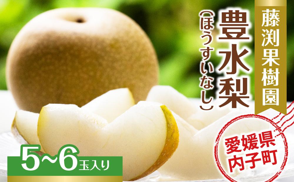 藤渕果樹園の豊水梨（ほうすいなし）（1）【5～6玉入り】【フルーツ 果物 くだもの 食品 人気 おすすめ 送料無料】