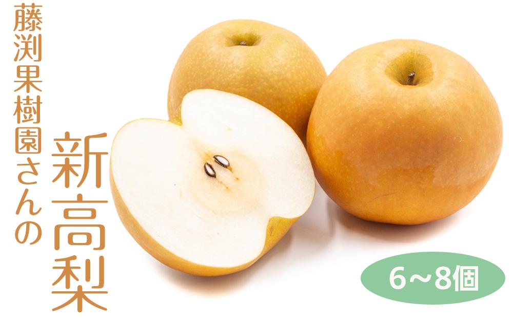 藤渕果樹園の新高梨（にいたかなし）（2）【6～8玉入り】【フルーツ 果物 くだもの 食品 人気 おすすめ 送料無料】