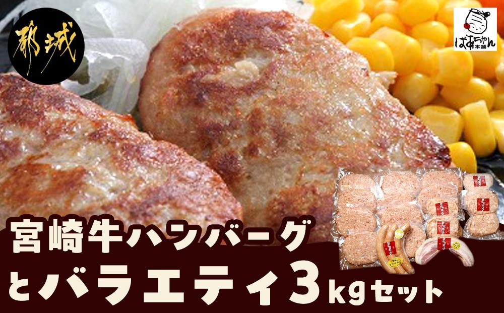 宮崎牛ハンバーグとバラエティ3kgセット