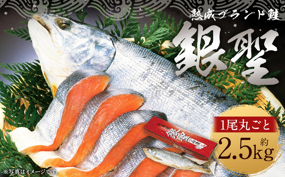 しゃけ様専用 しゃけ。様専用 ☆シャケ様専用☆おまとめ2種 楽天市場