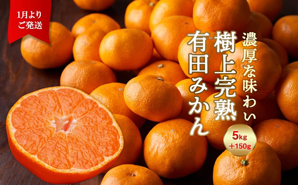 ＜1月発送＞樹上完熟有田みかん5kg＋150g（傷み補償分）【光センサー選果】