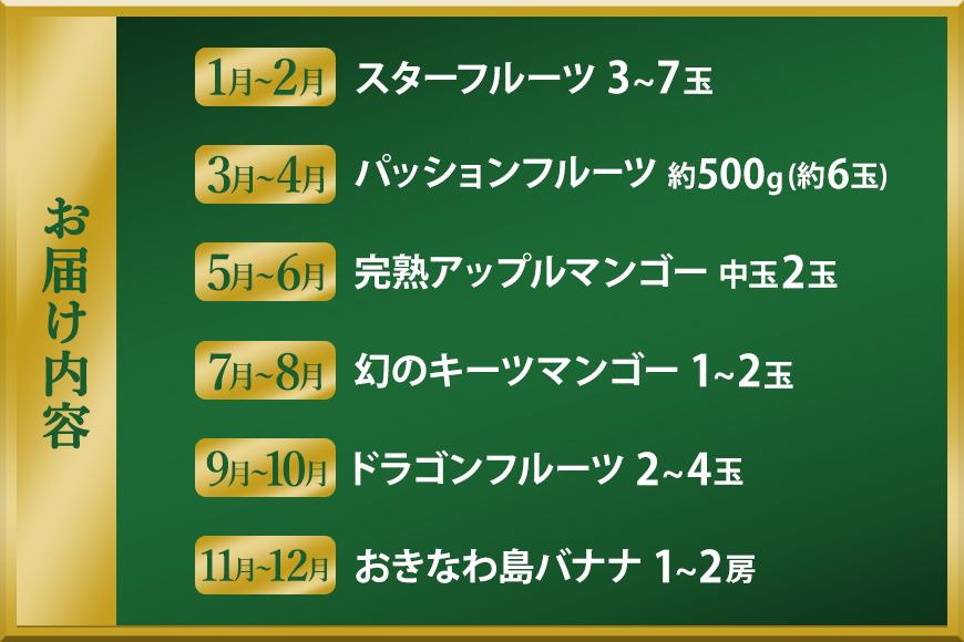 人気！沖縄フルーツ定期便（年6回）【マンゴー パッションフルーツ