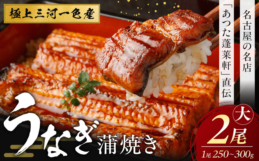 【極上三河一色産】うなぎ蒲焼&nbsp;2尾（名古屋の名店「熱田蓬莱軒」&nbsp;直伝）