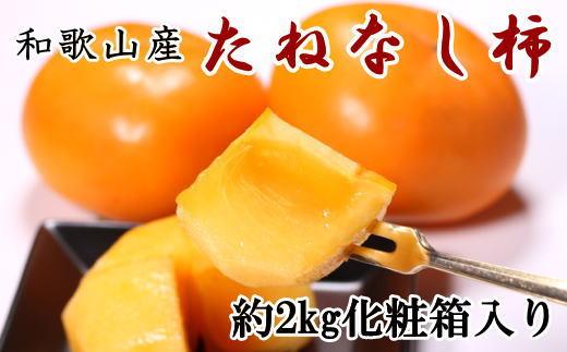 【秋の味覚】和歌山産のたねなし柿2L～4Lサイズ約2kg（化粧箱入り）★2024年10月上旬頃より順次発送【TM39】