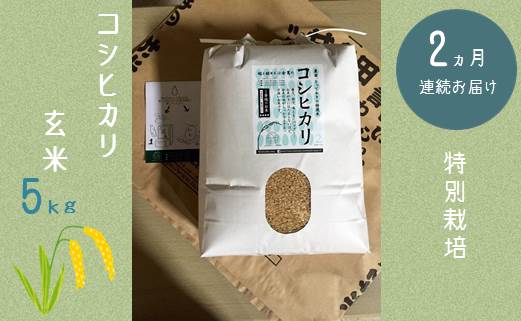 【2か月連続お届け】特別栽培　コシヒカリ　玄米５kg