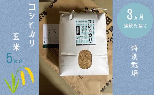【３か月連続お届け】特別栽培　コシヒカリ　玄米５kg