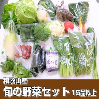 【和歌山産】旬の新鮮野菜セット たっぷり15種以上