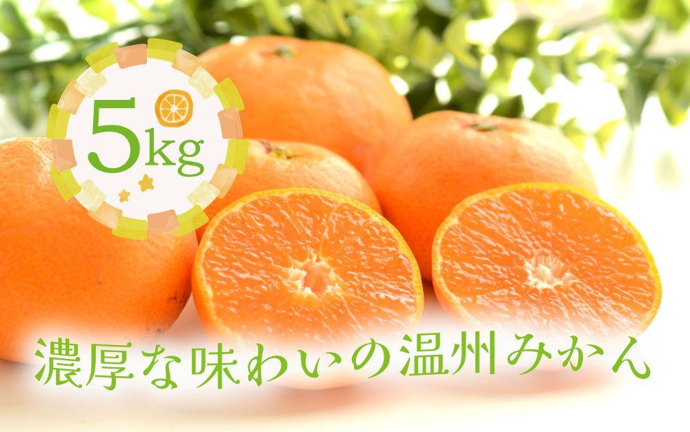 温州みかん　5kg『濃厚な味のとろける美味しさ』｜みかん 温州みかん 柑橘  5kg