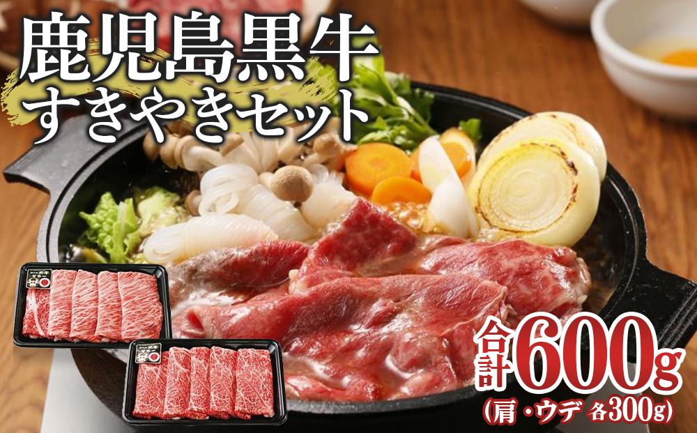 鹿児島黒牛すきやきセット(総600g)【お肉 肉 牛 牛肉 鹿児島黒牛 すき焼き すきやき 鹿児島県 中種子町 ふるさと納税 送料無料 BB1006】