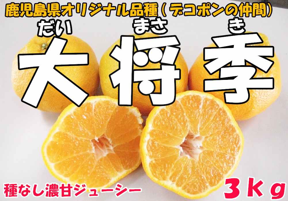 【数量限定】鹿児島が誇るブランドみかん 大将季（だいまさき）３kg