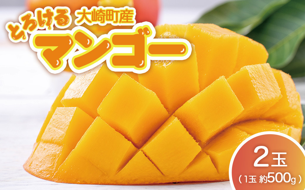 【JA大崎選果場厳選】「大崎産マンゴー2026」&nbsp;おおよそ500g×2玉