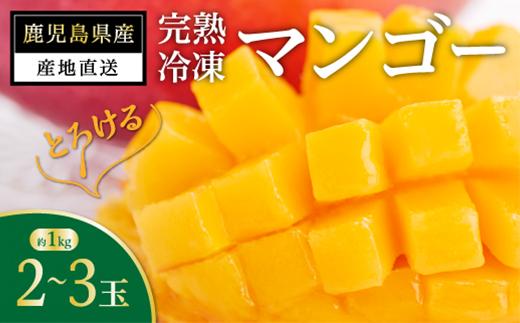 大崎町産　南国の恵み　冷凍完熟マンゴー