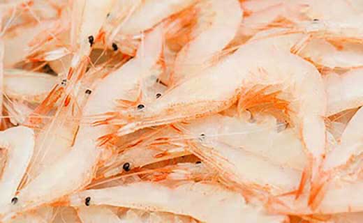 岩瀬浜特産 富山湾の宝石 白えびを贅沢に使ったコロッケと殻付き白えび Jtbのふるさと納税サイト ふるぽ