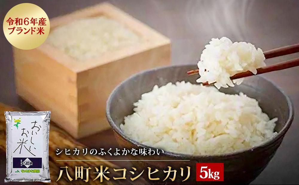 【令和6年産】八町米コシヒカリ５Kg