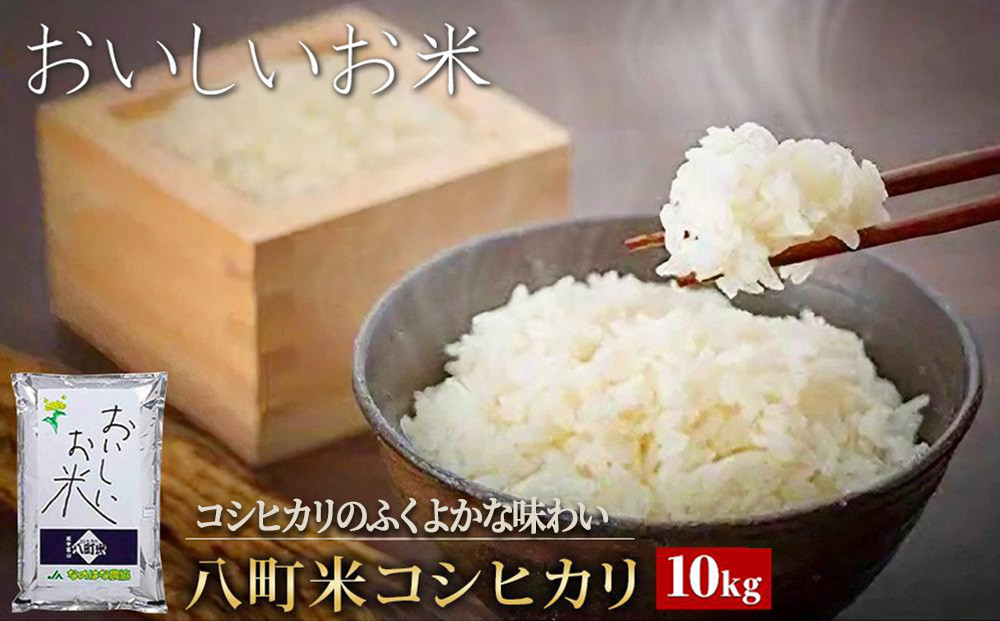 【令和7年産】八町米&nbsp;コシヒカリ１０Kg　米&nbsp;お米&nbsp;白米&nbsp;産地直送&nbsp;農家直送&nbsp;精米&nbsp;美味しい