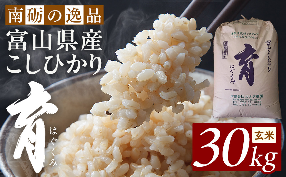 【令和7年産】富山県産こしひかり　育（はぐくみ）玄米３０kg《南砺の逸品》