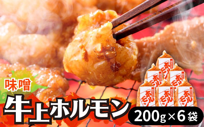 牛味噌 上ホルモン 200g×6袋（1～2人前×6袋） 計1.2kg ＜絶品！炒めるだけ簡単！＞ ／ 価格下げました！ 味付け 肉 焼肉 BBQ バーベキュー もつ ホルモン 小分け おつまみ 冷凍 アウトドア やみつき 人気